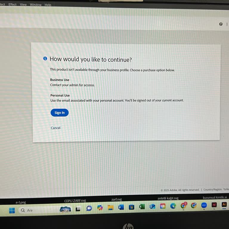 Lisans Süresi Sorunu Ve Yetersiz Destek