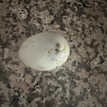 Bozuk Ürün Ve İlgisiz Müşteri Hizmetleri