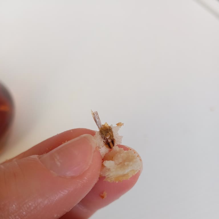 Şok Market'ten Aldığım Üründe Hijyen Sorunu