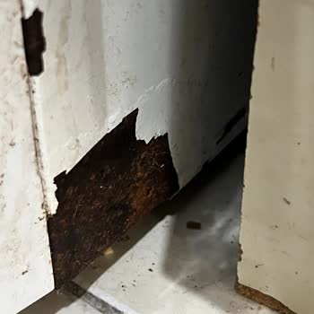 Paslanan Ürünler Ve Yetersiz Müşteri Hizmeti