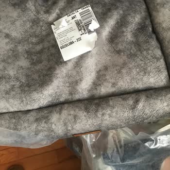 Kedi Yatağı Üzerindeki Sticker Sorunu Ve İletişim Engeli