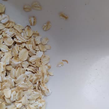 Böcek Ve Kurt Dolu Kahvaltılık Ürün Şoku!