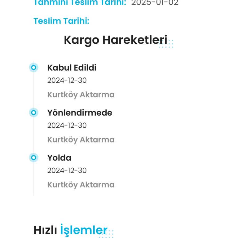 Kayıp Kargo Krizi