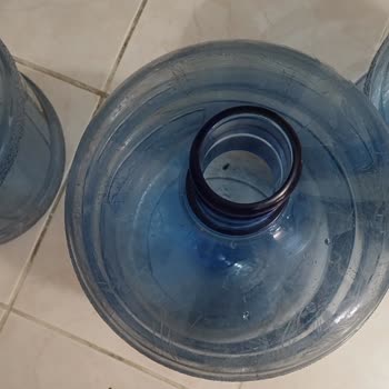 Hijyen Sorunu: Böcek Kalıntısı