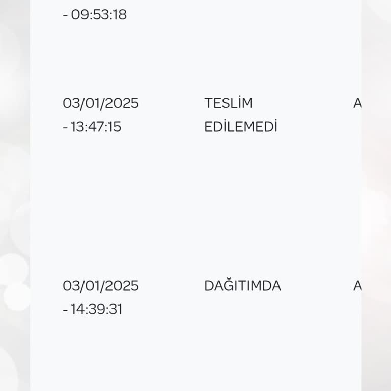 PTT Kargo Konyaaltı Şubesi'nin Sorumsuzluğu