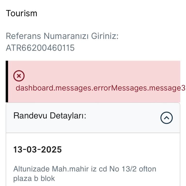 Vize Randevusu İptalinde Web Sitesi Hatası