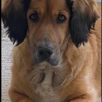 Bitget Para Çekme Sorunu