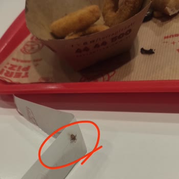 Hijyen Sorunu Ve Yetersiz Müşteri Hizmeti