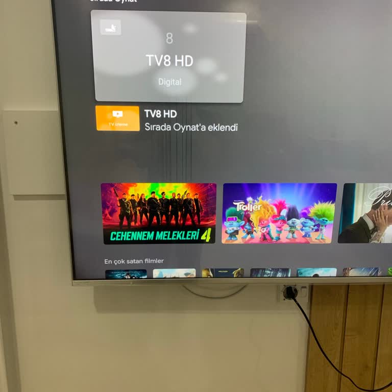 Philips Televizyon Servis Sorunu Ve İletişimsizlik