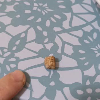 A101'den Aldığım Mantıdan Çıkan Taş Şoku