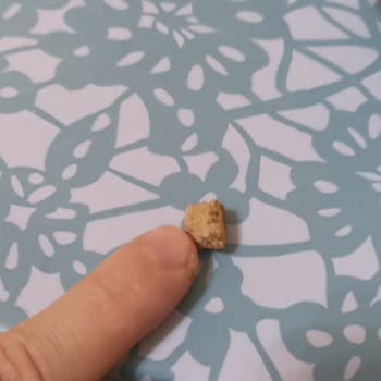 A101'den Aldığım Mantıdan Çıkan Taş Şoku