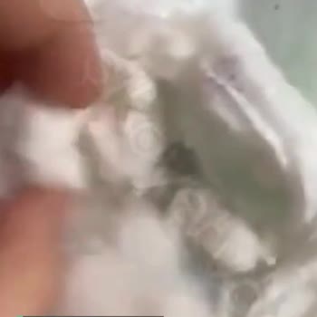 Canbebe Bezin İçinde Taşlaşan Pamuklar