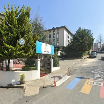 Beşiktaş Otoparkında Bilgi Fişi Krizi Ve Rencide Edilme