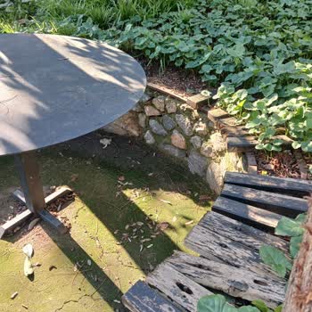 Burgazada Parkının Bakımsız Hali