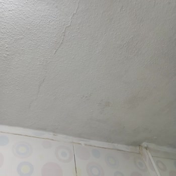 Permolit Boya: Tavanda Kabuk Atan Hayal Kırıklığı