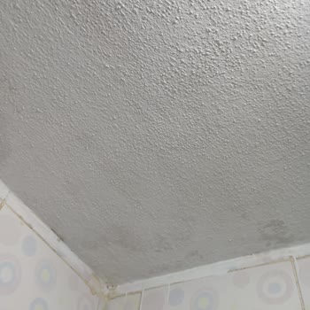 Permolit Boya: Tavanda Kabuk Atan Hayal Kırıklığı