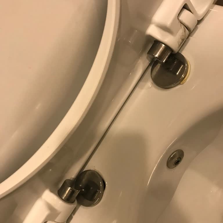 Creavit Klozet Menteşe Sorunu: Çözüm Bekleniyor