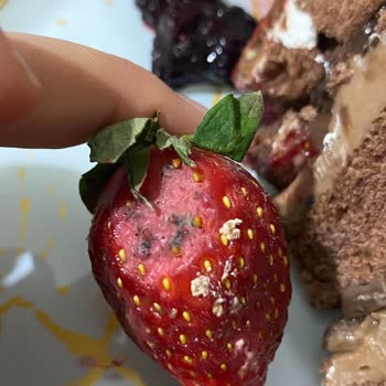 Küflü Çileklerle Hayal Kırıklığı: Doğum Günü Pastası Fiyaskosu