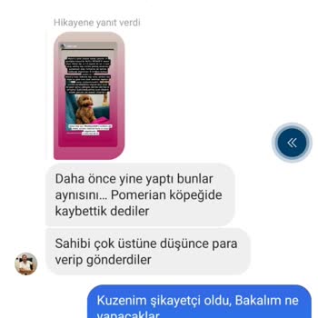Petshop'ta Güven Skandalı: Köpeğim Çalındı!