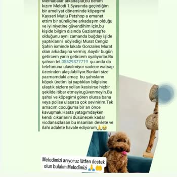 Petshop'ta Güven Skandalı: Köpeğim Çalındı!