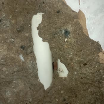 Gel Su Kaçak Ana Boruyu Patlattı Ekstra Masraf Çıkarttı