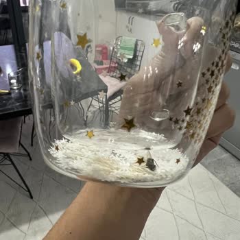 Karaca Züccaciye Aldığım Kupada Sinek Şoku