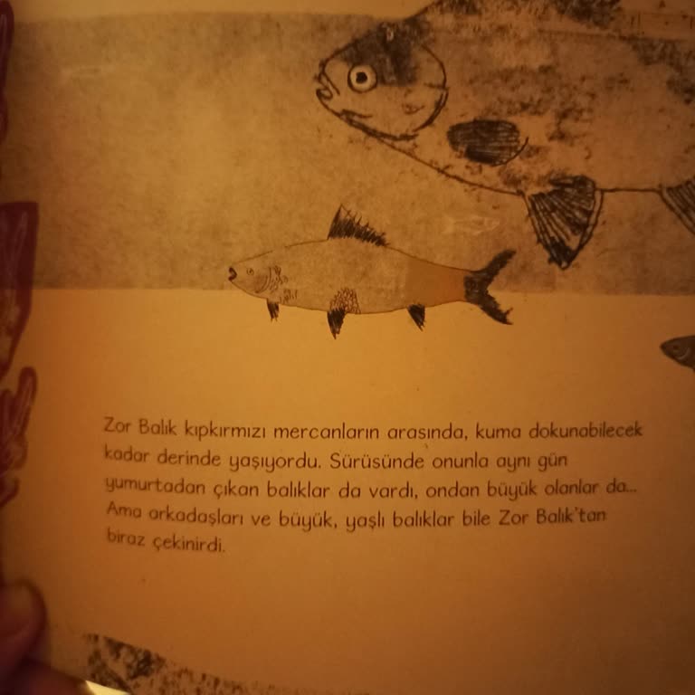 Noktalama Hatalarıyla Dolanan 'Zor Balık' Kitabı