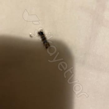 Kusurlu Ürün Ve Yetersiz Müşteri Hizmeti