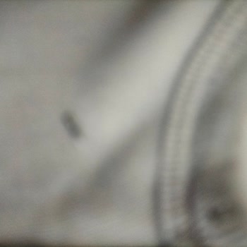 Tehlikeli İhmalkarlık: Owli Uyku Tulumu