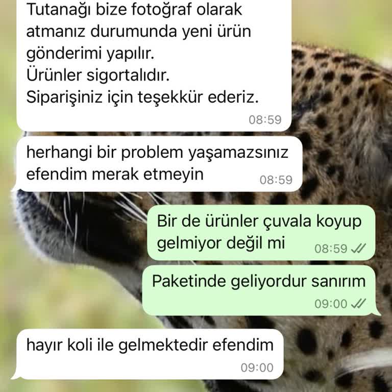 Kedi Maması Siparişimde Teslimat Sorunu