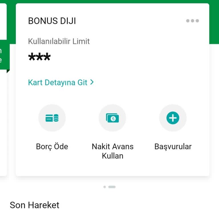 Kayıp Kart Sonrası Bilgilere Ulaşamıyorum