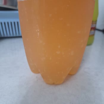 Schweppes Ürünü İçindeki Parçacıklar Ve Kötü Tat