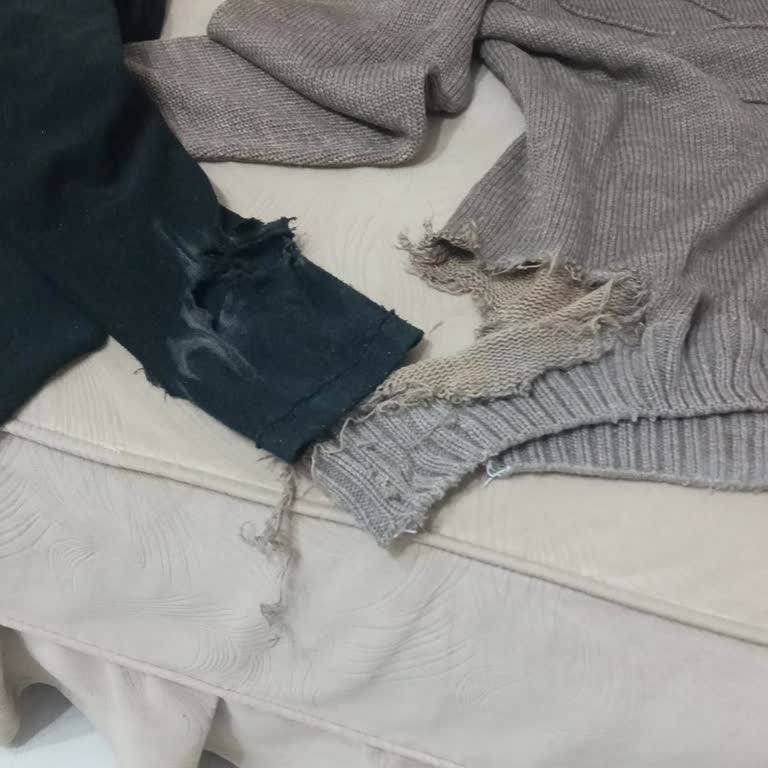 Vestel Çamaşır Makinesi Sorunu: Yırtılan Çamaşırlar