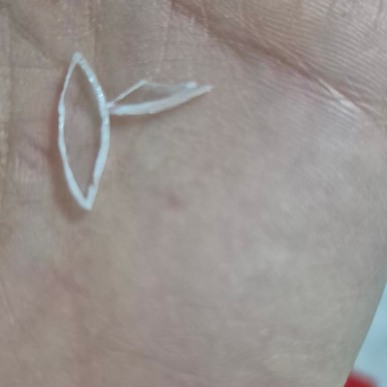 Kedi Mamasında Tehlikeli Plastik Parça