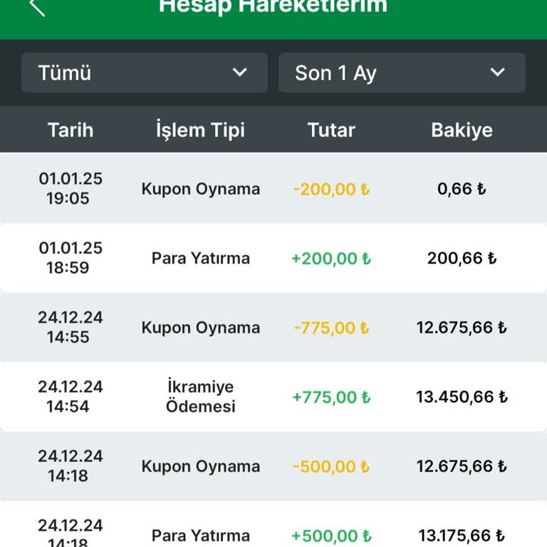 Hesabımdaki 12675 TL Bilgim Dışında Silindi