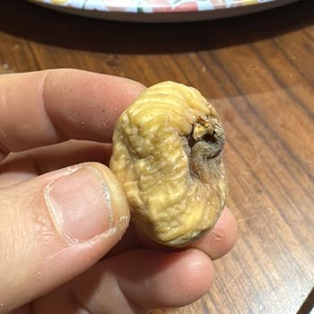 Naturelincir'den Aldığım İncirler Beklentimi Karşılamadı