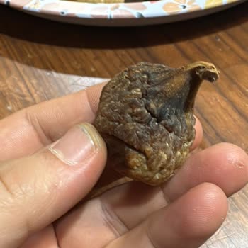 Naturelincir'den Aldığım İncirler Beklentimi Karşılamadı