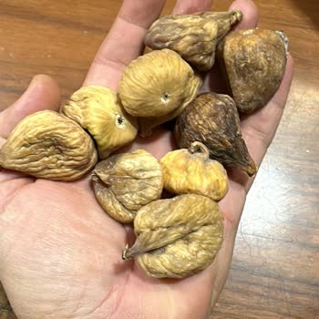 Naturelincir'den Aldığım İncirler Beklentimi Karşılamadı