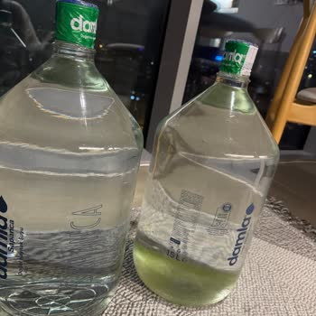 Yosunlu Damacana Su Sağlığımızı Tehdit Ediyor