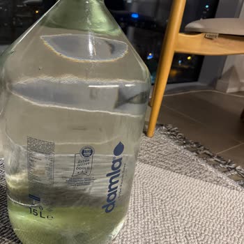 Yosunlu Damacana Su Sağlığımızı Tehdit Ediyor