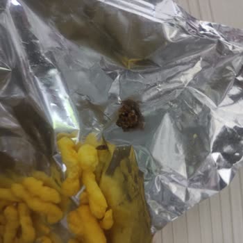 Cips Paketinde Şok Edici Keşif