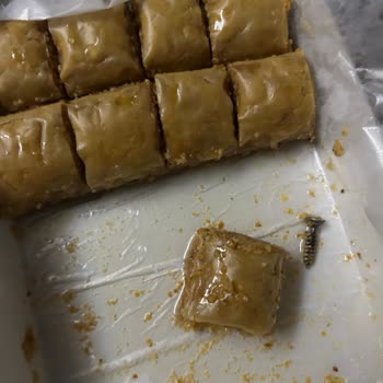 Baklavada Paslı Vida Şoku