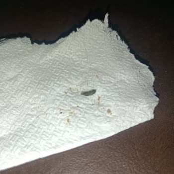 Ekmekten Çıkan Şok Edici Sürpriz!