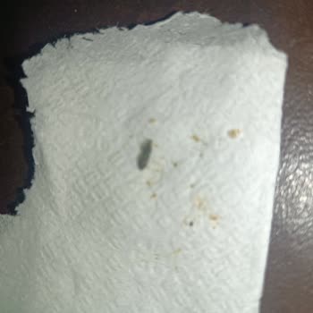 Ekmekten Çıkan Şok Edici Sürpriz!