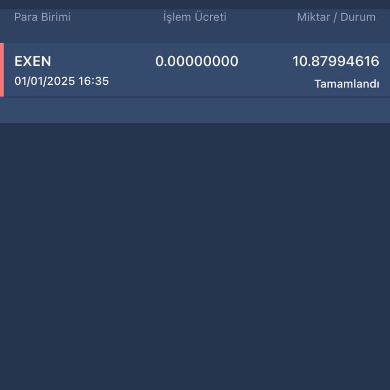 Hesabımdan Habersiz Exen Coin Çekildi