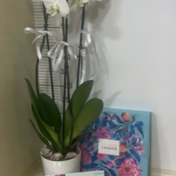 Yanlış Ürün Teslimatı Ve Çözüm Eksikliği