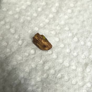 Eti İçibol'dan Çıkan Tahta Parçası Şoku