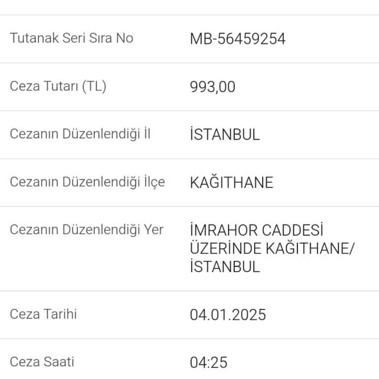 Talatpaşa Mahallesi'nde Park Sorunu Ve Çözüm Talebi