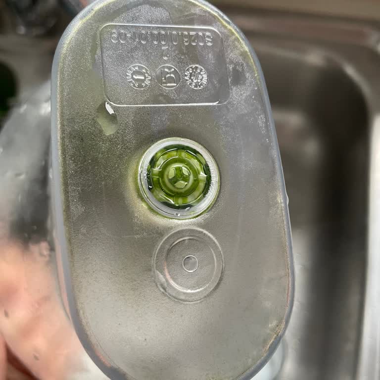 Brita Sürahi Filtre Bölümünde Yosun Sorunu Ve Çözüm Eksikliği