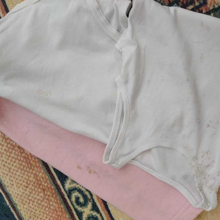 Bosch Çamaşır Makinesi: Leke Çıkarmayan Ve Sorunlu Hizmet